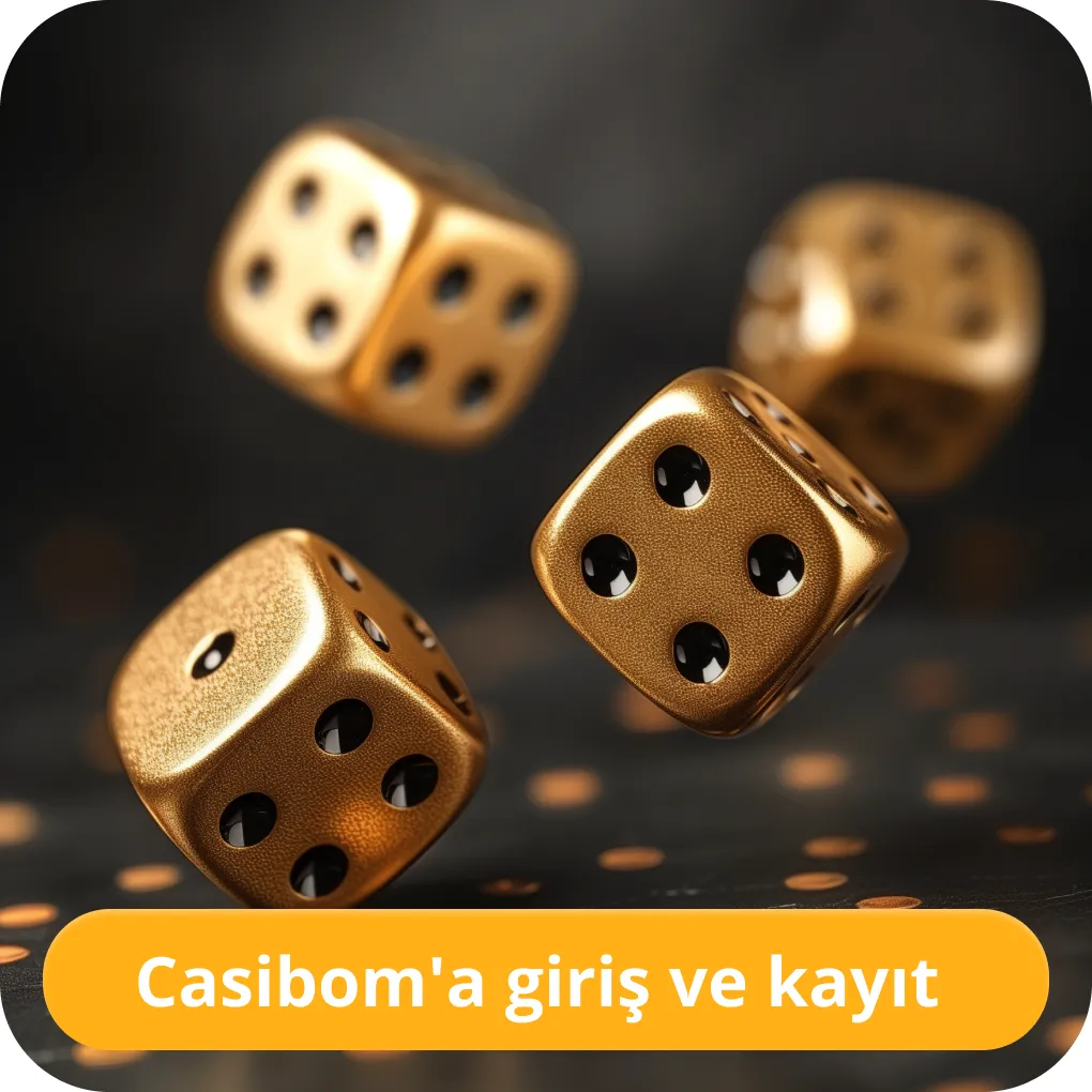 Casiboom login